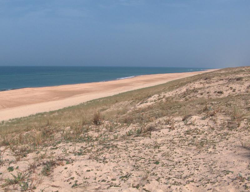 Location de vacances en appartement  4 personnes à HOSSEGOR (40)