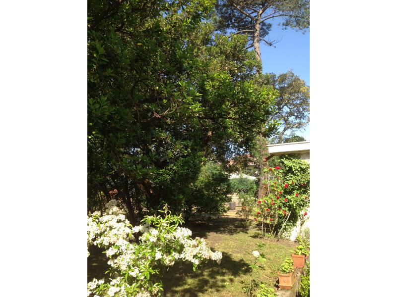 Location de vacances en maison  5 personnes à HOSSEGOR (40)