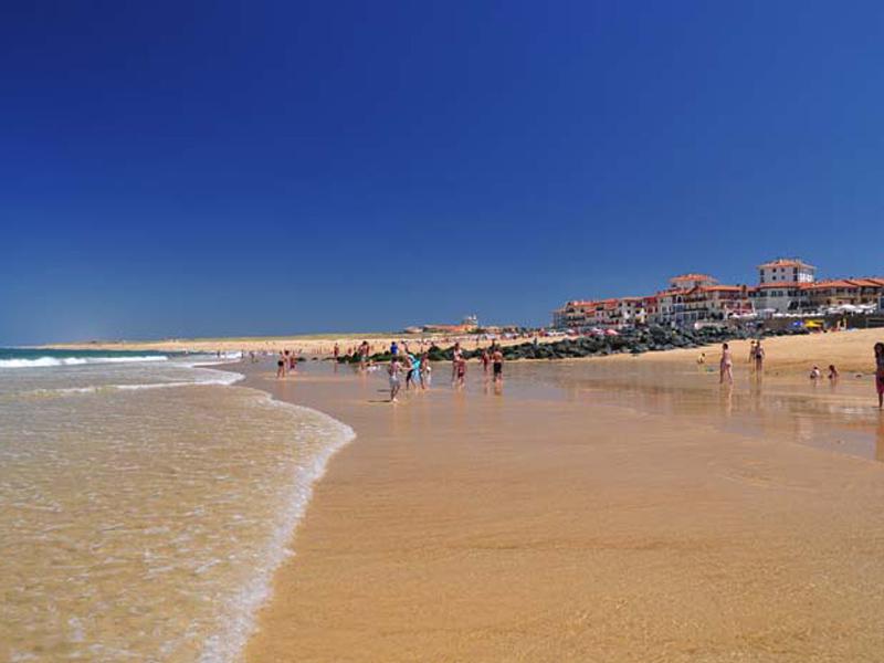 Location de vacances en maison  13 personnes à SOORTS-HOSSEGOR (40)